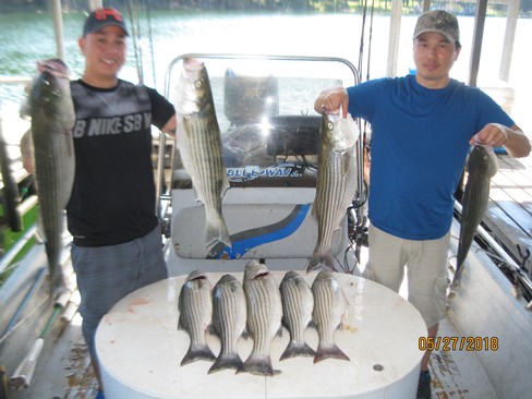 Nice Striped Bass